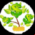 Investment Payment Calculator V1
