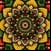 Mandala Coloring Book 2023